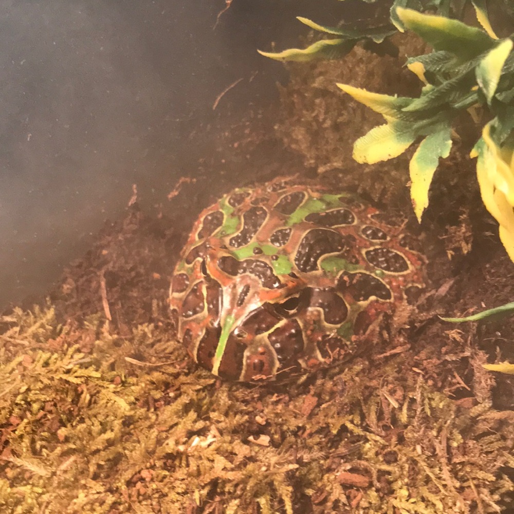 Meet your Posher, Logan